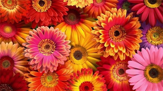 带黑字的网名有情调的