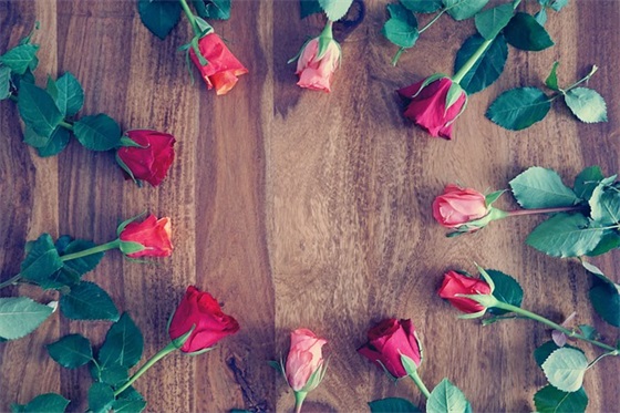 幼儿园四月的美好寄语 【幼儿园五月美好寄语】