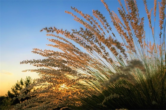 小孩初开学 寄语 【小孩开学的祝福语怎么说】