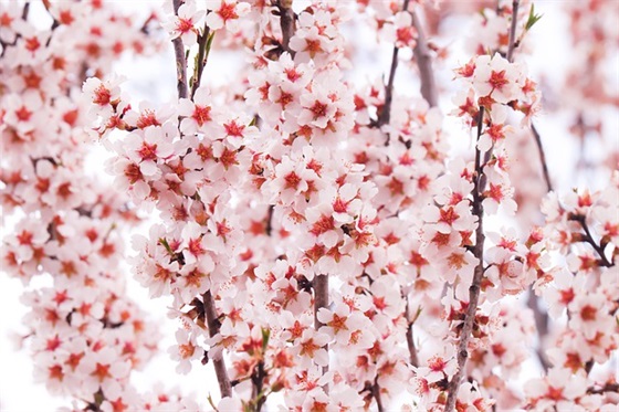 对同学的寄语 【祝愿未来可期的句子】