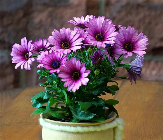 劳动节父母寄语 【劳动节父母对孩子的简短寄语】