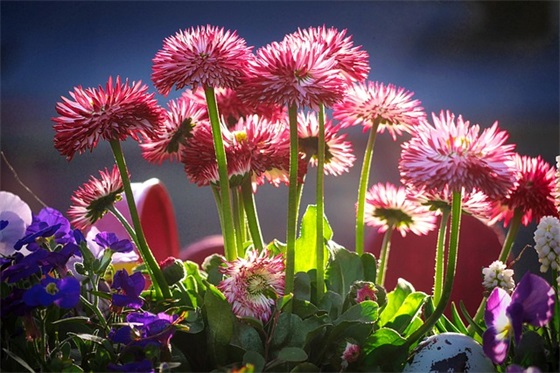 老师对幼儿园孩子的寄语 【老师对幼儿园孩子的寄语(精选60句)】