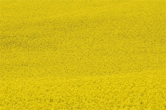 父母寄语(四年级)-84句