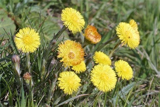 小学二年级的开学寄语 【小学二年级的开学寄语怎么写】