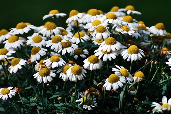 中秋明信片寄语 【中秋明信片寄语陌生同学】