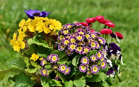 小学班级寄语简短深刻 【小学班级寄语简短唯美】