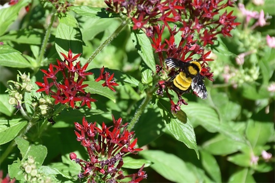 一学期完了家长寄语 【一学期完了家长的话】