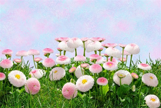 女儿成人礼寄语 【女儿成人礼寄语简短】