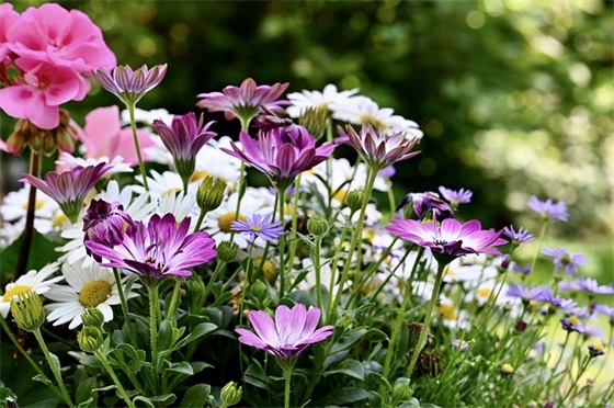 对幼儿园的寄语与希望 【对幼儿园孩子寄语希望的话语】