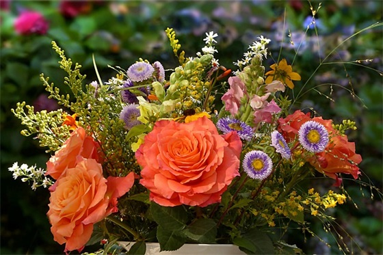 老师寄语简短幼儿园 【老师寄语精选幼儿园】