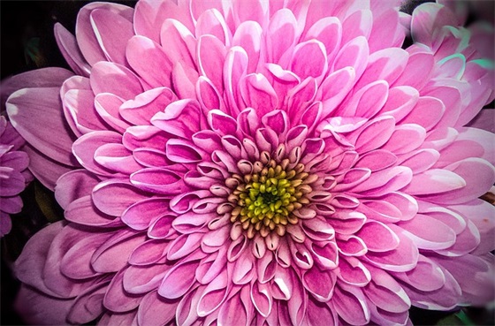 幼儿园大班的家长寄语 【幼儿园大班的家长寄语怎样写最简单】