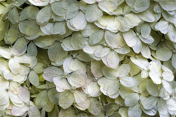 孩子入少先队寄语 【孩子入少先队寄语视频】