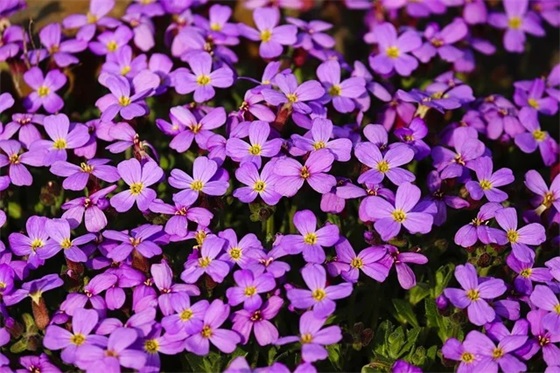 学期结束了家长寄语 【学期结束家长感言怎么写】