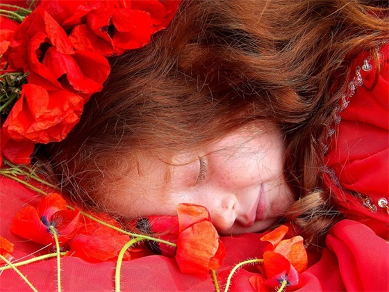 四年级小朋友家长寄语 【小学生4年级家长寄语怎么写】