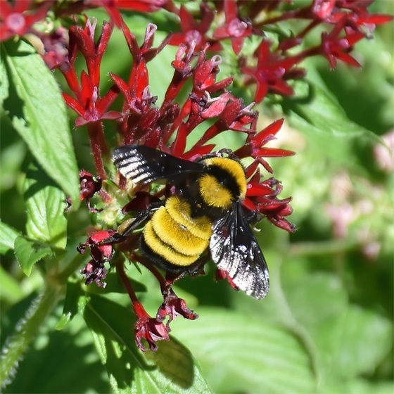 关于下雨心情的句子