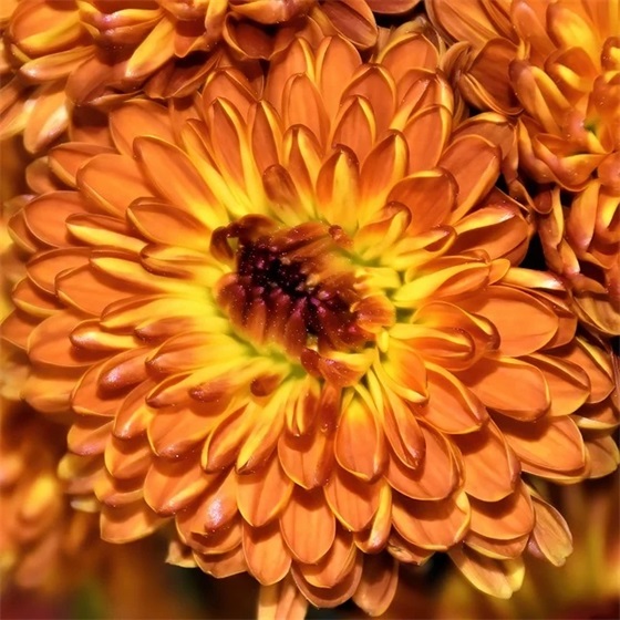 课题研究励志句子