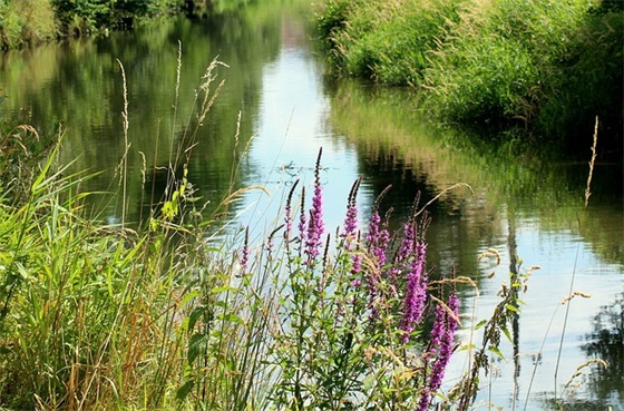 昵称大全2026最新版（精选200个）