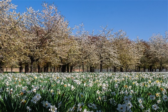 情侣3个字情侣网名(精选139个)