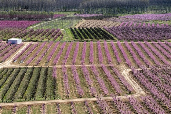 带符号的五字QQ网名(158个)