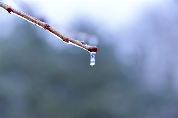 进入大班老师寄语-52句