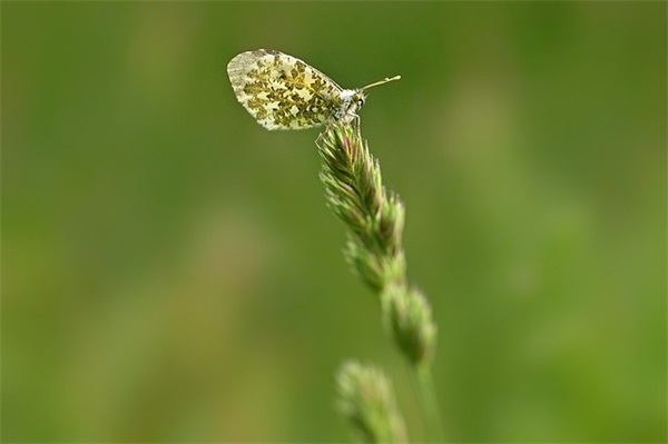 父母的寄语20字-73句