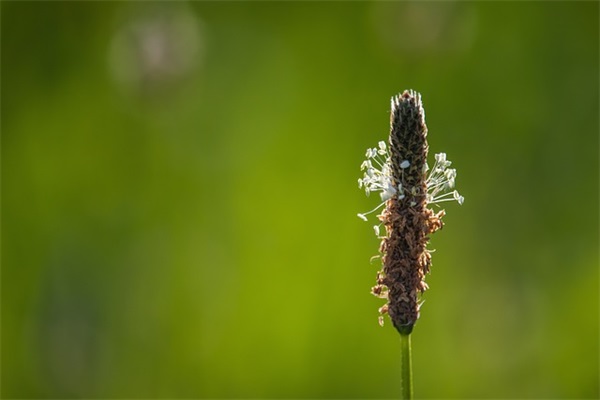 常礼举要家长寄语 【常礼举要家长寄语例子】