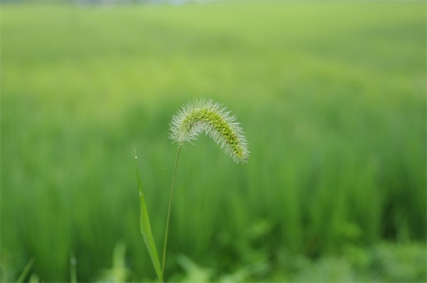 幼儿老师对孩子的毕业寄语-58句