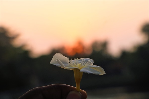 关于努力收获的励志句子