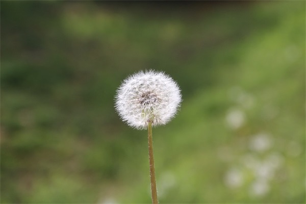 表达心烦失眠的伤感句子
