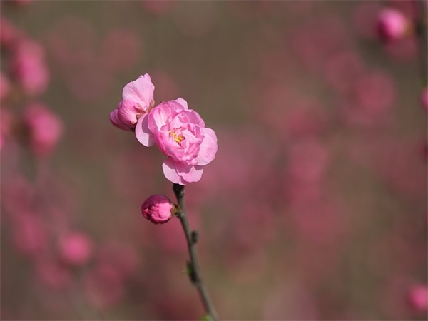 无奈的伤感句子81句