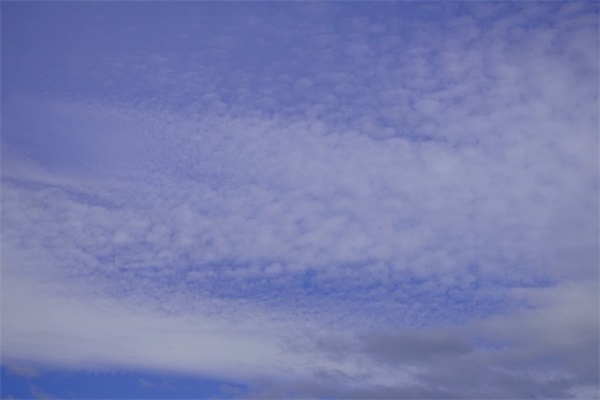 幼儿园给孩子的成长寄语-59句