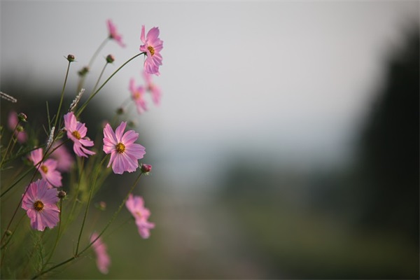中考前给孩子的鼓励寄语-62句