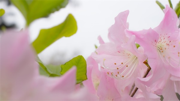 老公生日寄语新潮个性简短-63句