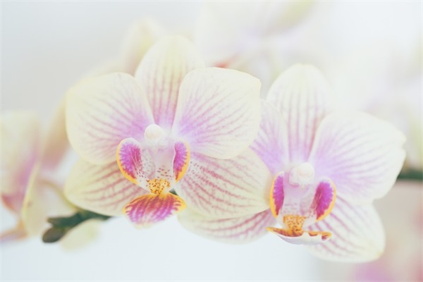 心理健康的寄语 【怎样心理健康】