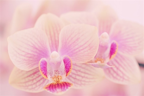 青春寄语短句励志-63句