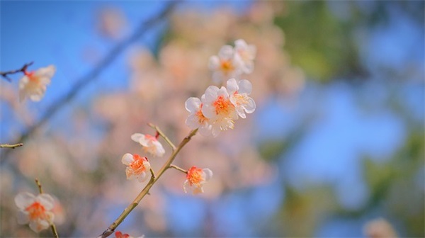 妈妈对孩子进入小学的寄语-59句