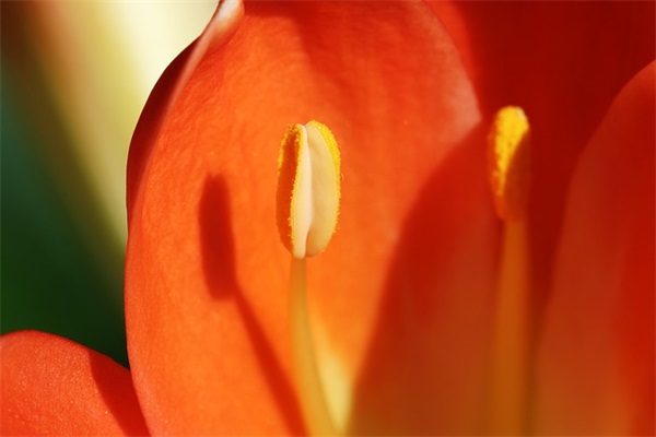 微信网名小英文字母