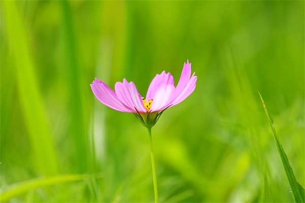 甜蜜的游戏情侣名字