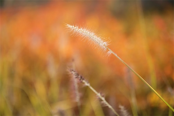 趣味男生qq个性网名(共249个)