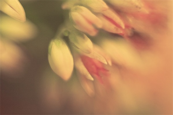 超级可爱的网名女生两个字