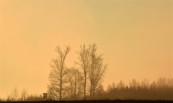 问道游戏名字五个字唯美(277个)