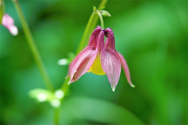 冷门小众却惊艳的名字(精选137个)