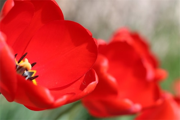 好听的四字网名大全(145个)