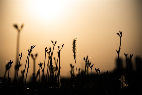 俏皮可爱的吃鸡游戏名