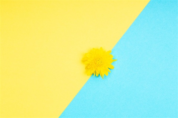 长大后的句子通用