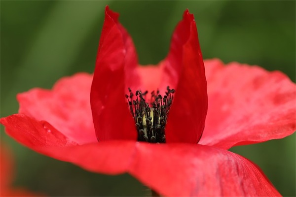 很在乎一个人的句子(简短62句)