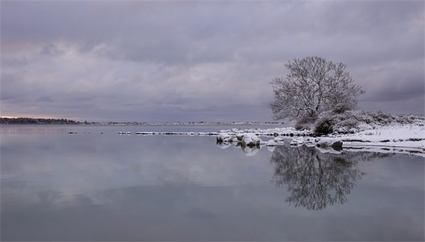 祝七夕快乐的句子24句