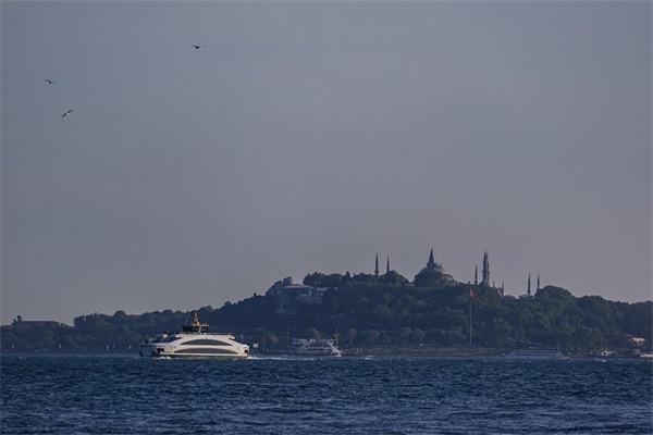 关于童心向党的句子精选187句