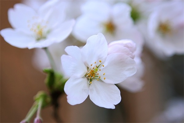 只想跟你在一起的句子(精选266句)