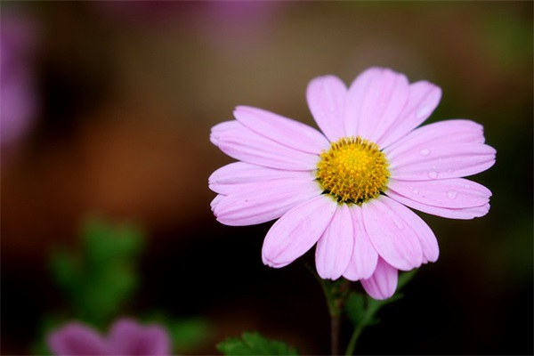 人生感悟句子经典语录励志30句